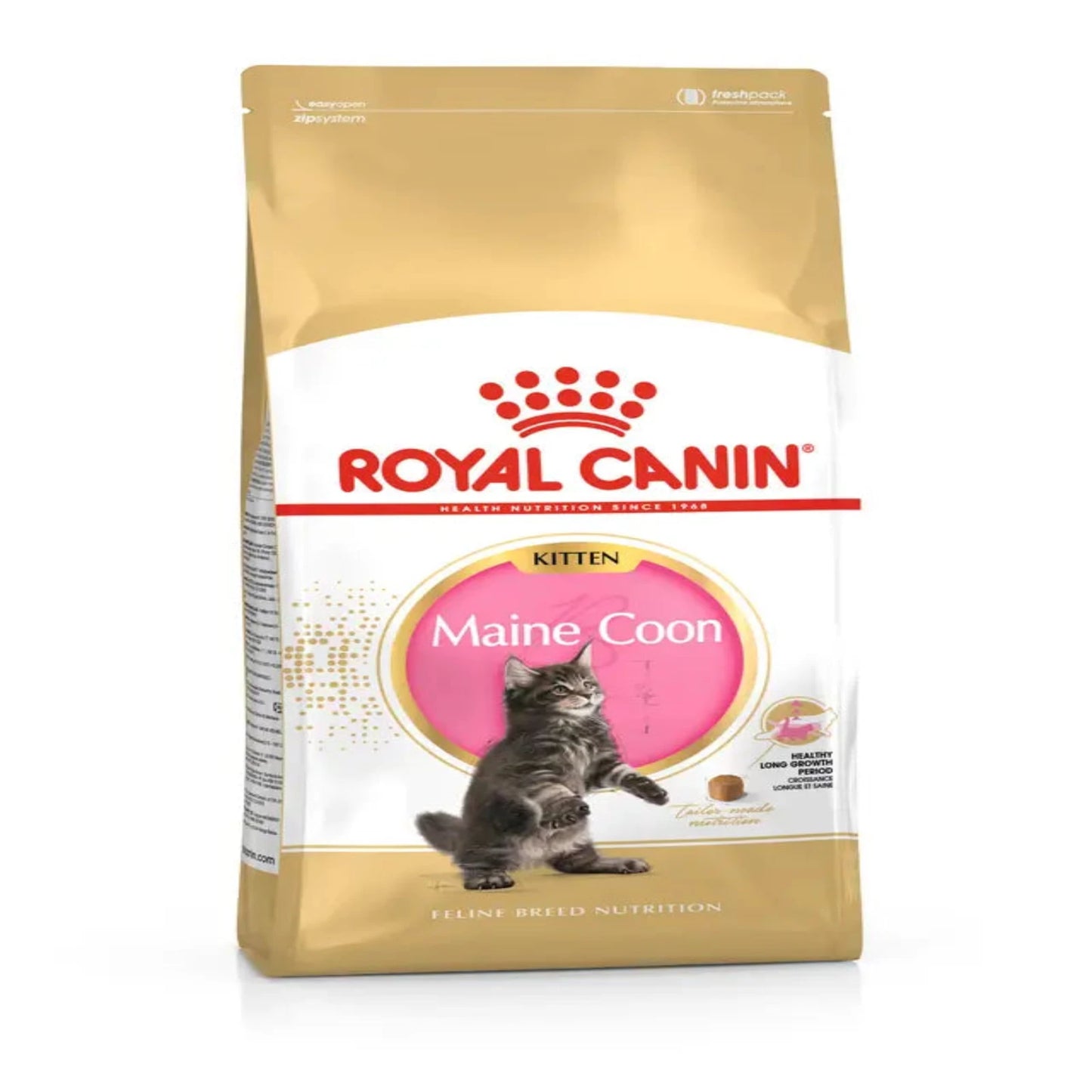 Alimento Seco Gatos - Royal Canin Maine Coon Kitten