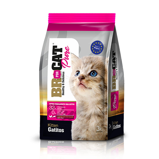 Br For Cat Pure Gatitos Pollo