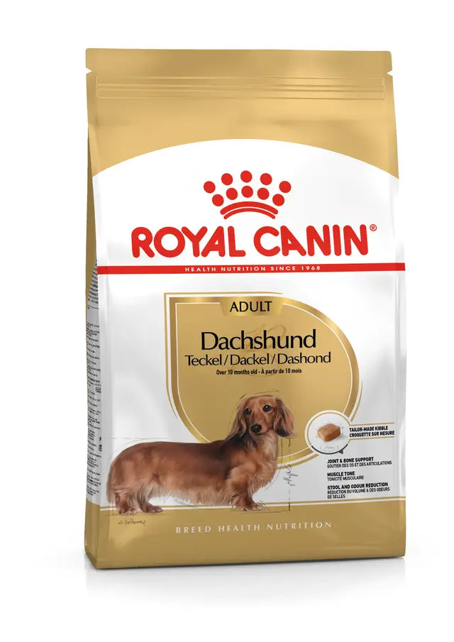 Alimento Seco Perros - Royal Canin Dachshund Adult