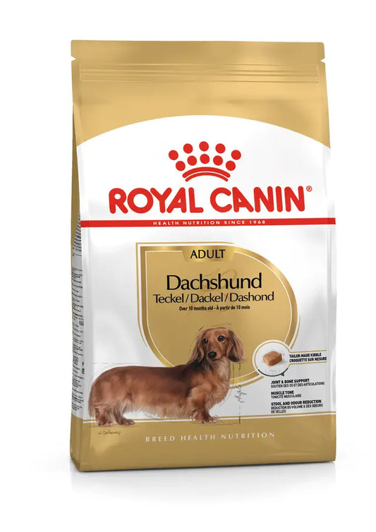 Alimento Seco Perros - Royal Canin Dachshund Adult