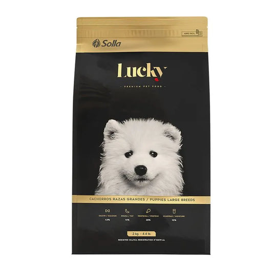 Lucky Cachorro Raza Grande