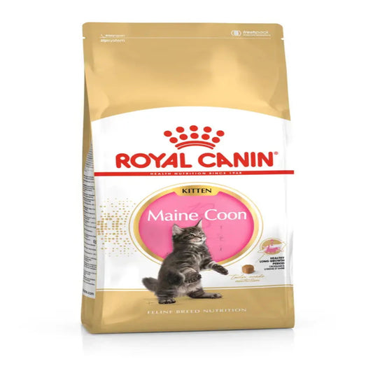 Alimento Seco Gatos - Royal Canin Maine Coon Kitten