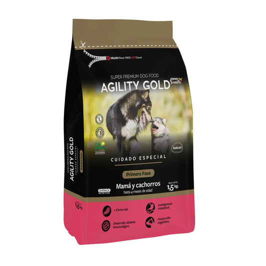 Agility Gold Primera Fase