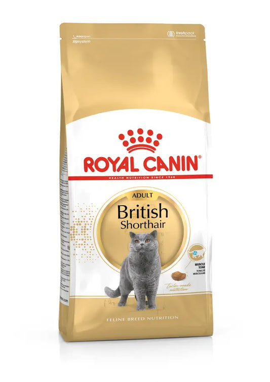 Alimento Seco Gatos - Royal Canin British Shorthair Adult