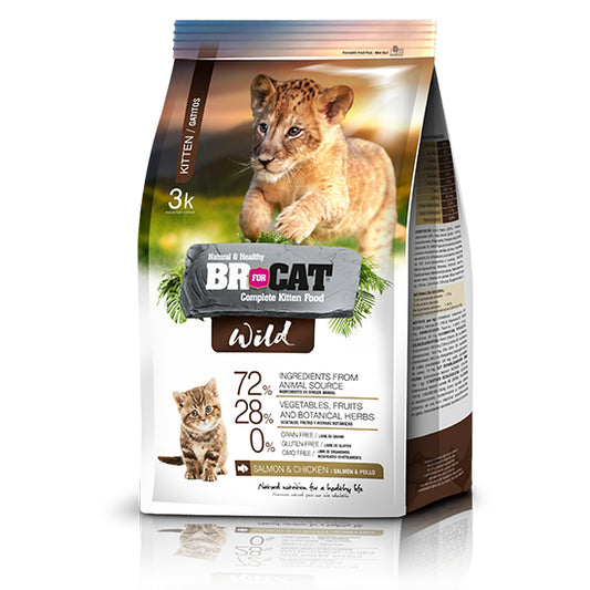 Br For Cat Wild Gatitos