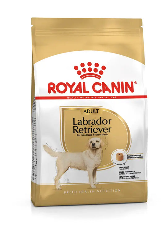 Alimento Seco Perros - Royal Canin Labrador Retriever
