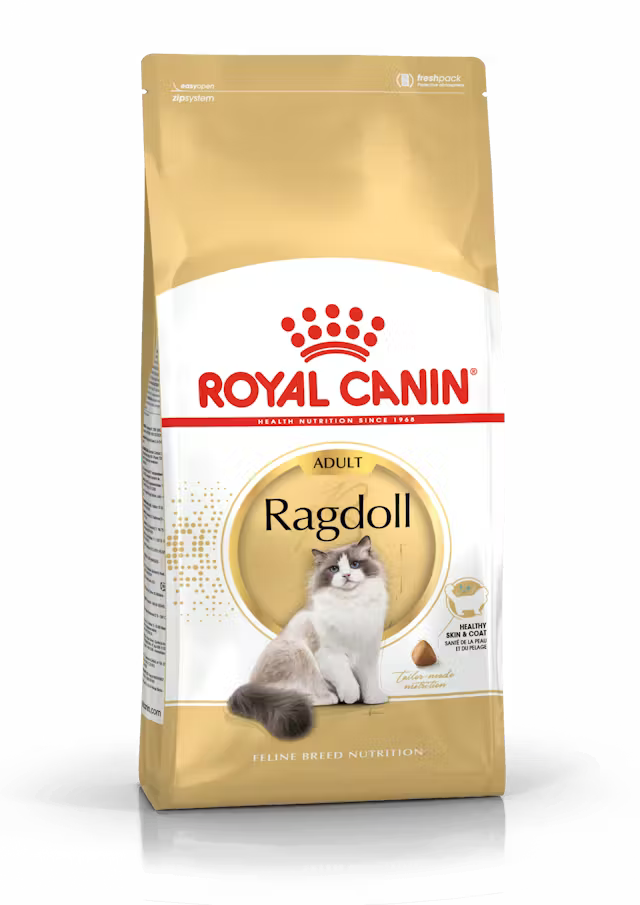 Alimento Seco Gatos - Royal Canin Ragdoll Adult