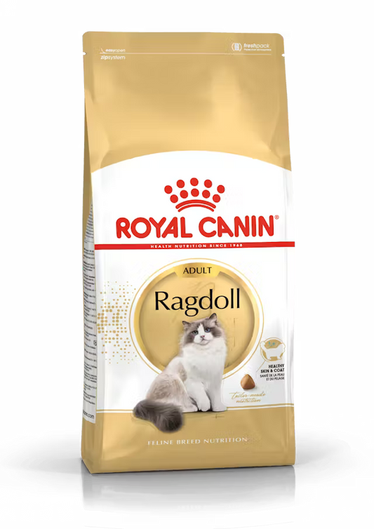 Alimento Seco Gatos - Royal Canin Ragdoll Adult