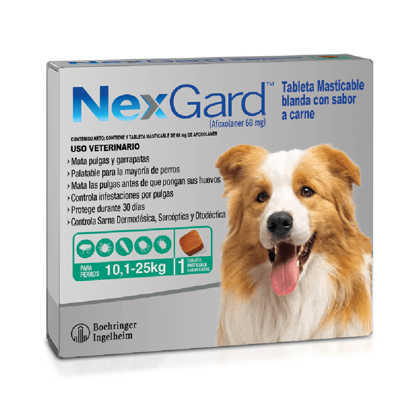 Antipulgas para Perro - Nexgard