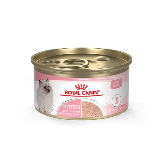 Alimento Húmedo Gato - Royal Canin Kiiten Loaf in Sauce