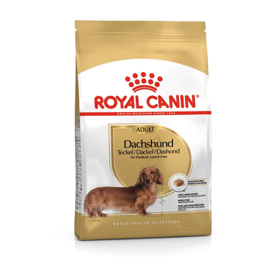 Alimento Seco para Perro - Royal Canin Dachshund Adult
